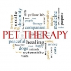 pet therapy - walter comello